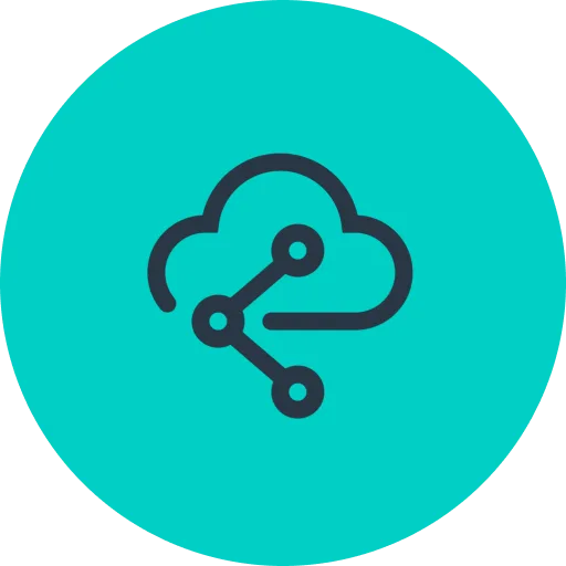 API Connectivity